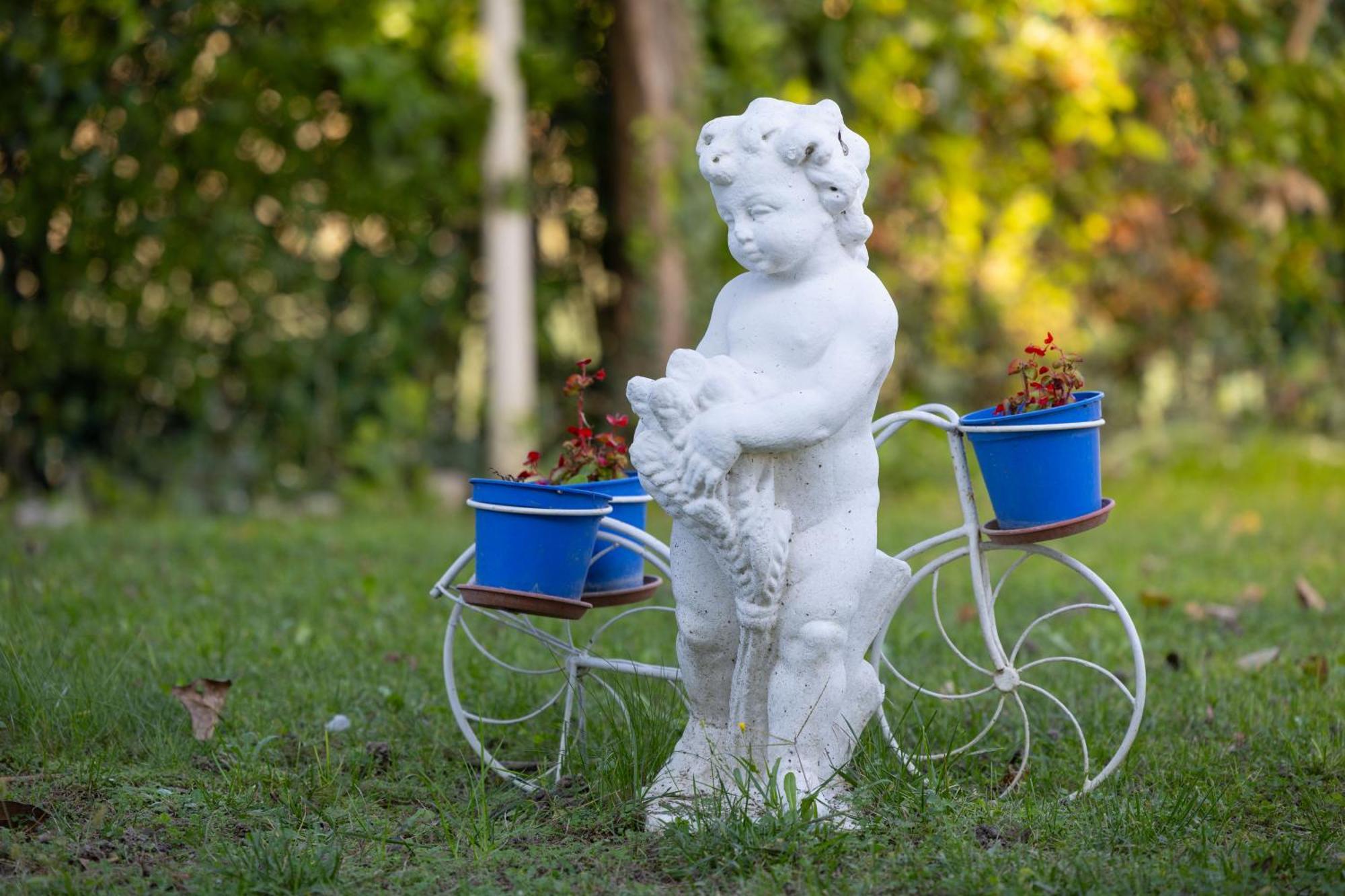 Bed and Breakfast Dimora Naviglio Доло Экстерьер фото