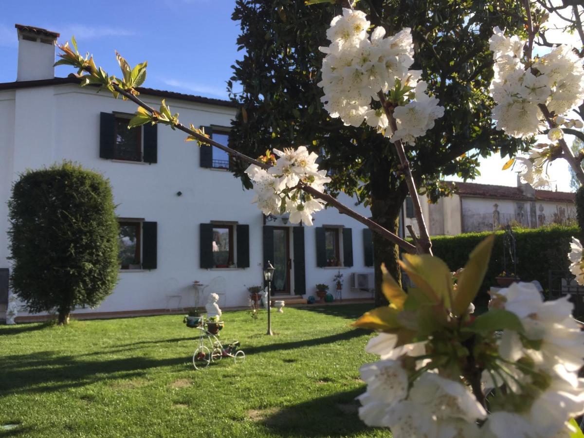 Bed and Breakfast Dimora Naviglio Доло Экстерьер фото